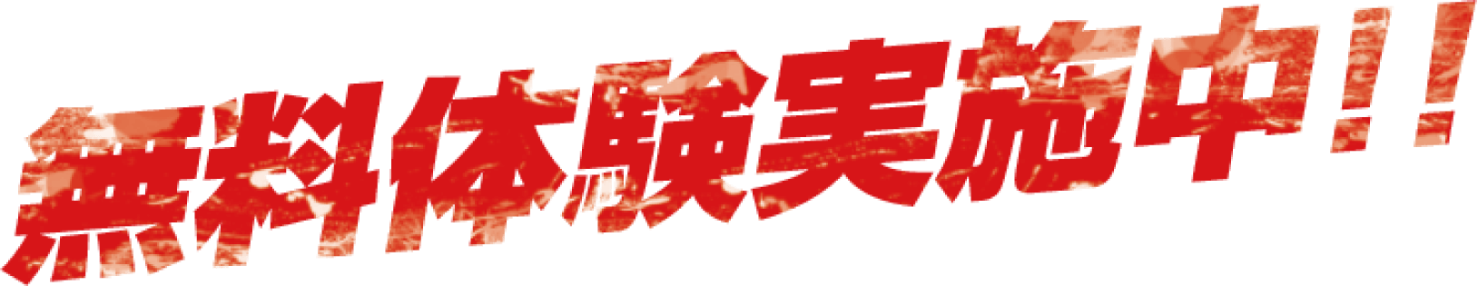 無料体験実施中!!